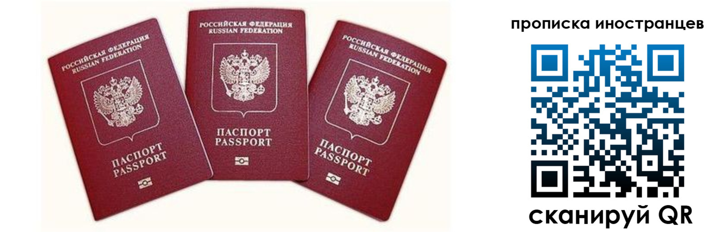 прописка в Краснозаводске